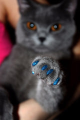 Cat nail caps