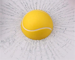 “You Hit My Window” Ball